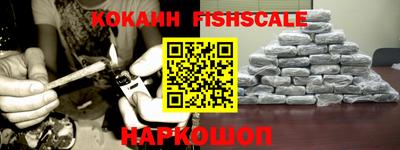крисы Можга