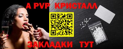 крисы Можга