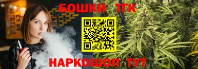 крисы Можга